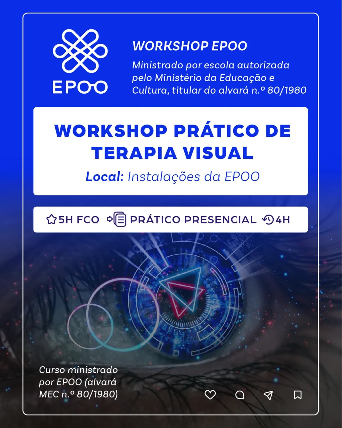 Workshop Prático de Terapia Visual